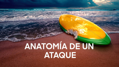 Imagen de Anatomía de un ataque - 2