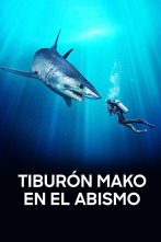 Imagen de Tiburón Mako en el abismo - 1
