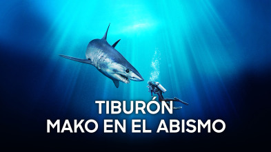 Imagen de Tiburón Mako en el abismo - 2
