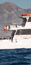 Imagen de Tiburón Mako en el abismo - 3