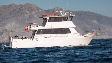 Imagen de Tiburón Mako en el abismo - 4