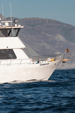 Imagen de Tiburón Mako en el abismo - 5