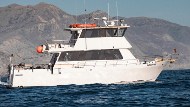 Imagen de Tiburón Mako en el abismo - 6