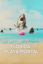 Imagen de Florida: playa mortal - 1