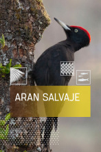 Imagen de Arán Salvaje - 1