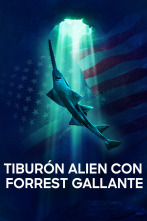 Imagen de Tiburón Alien con Forrest Gallante - 1