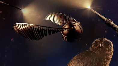 Imagen de Harry Potter: el... (T1): 