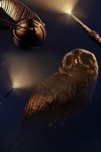 Imagen de Harry Potter: el... (T1): 
