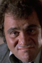 Imagen de The Rockford Files (T1): Este caso está cerrado (1) - 1