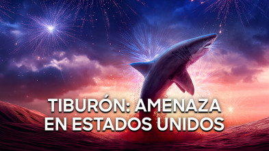 Imagen de Tiburón: amenaza en Estados Unidos - 2
