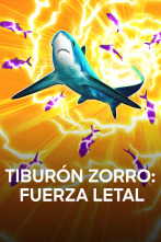 Imagen de Tiburón zorro: fuerza letal - 1