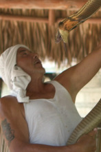 Imagen de Bestias divinas: La fiebre - 1