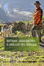 Imagen de Batidas jabalineras a orillas del Narcea - 1