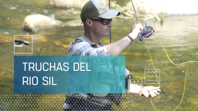 Imagen de Truchas en el río Sil - 2