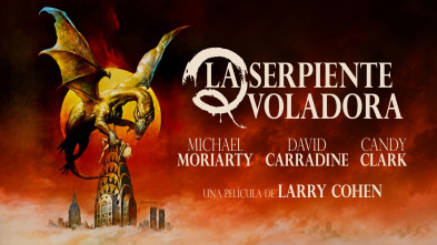 Imagen de La serpiente voladora - 2