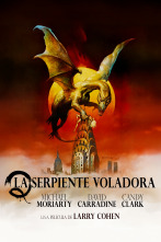 Imagen de La serpiente voladora - 1