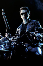Imagen de Terminator: la saga contra las máquinas - 11