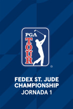 Imagen de FedEx St.Jude Championship (V.O). Jornada 1. Parte 1. - 1