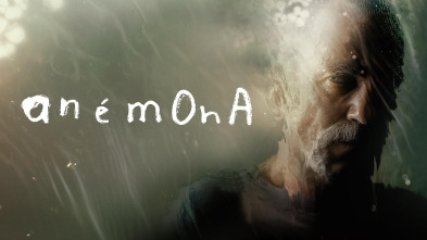 Imagen de Anémona - 2