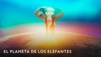 Imagen de El planeta de los elefantes  - 2