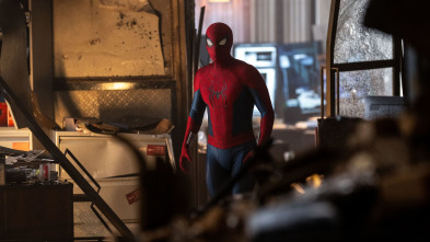 Imagen de Spider-Man: Brand New Day - 12
