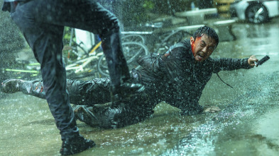 Imagen de The Furious - 8
