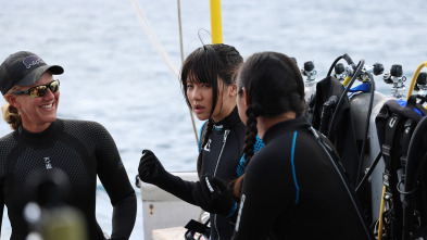 Imagen de Expedición X: Tiburones atómicos - 4