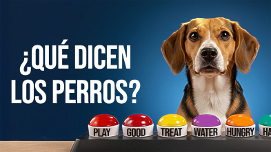 Imagen de ¿Qué dicen los perros? - 2