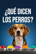 Imagen de ¿Qué dicen los perros? - 1
