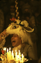 Imagen de Amadeus - 9