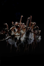 Imagen de Preljocaj: El lago de los cisnes - Chaillot, Théâtre national de la danse - 1