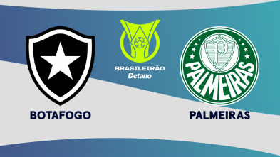 Imagen de Jornada 26: Botafogo - Palmeiras - 2