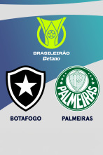 Imagen de Jornada 26: Botafogo - Palmeiras - 1