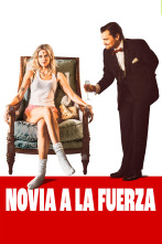 Imagen de Novia a la fuerza - 1