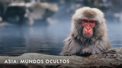 Imagen de Asia: mundos ocultos  - 2