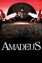 Imagen de Amadeus - 1