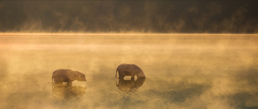 Imagen de Evolution: Energía - 4