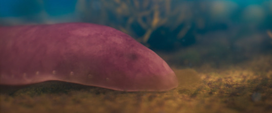 Imagen de Evolution: Energía - 5