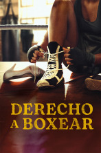 Imagen de Derecho a boxear - 1