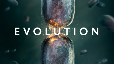 Imagen de Evolution  - 2