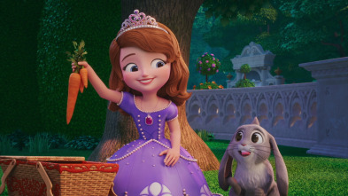 Imagen de La princesa Sofía: escuela de magia (T1) - 4