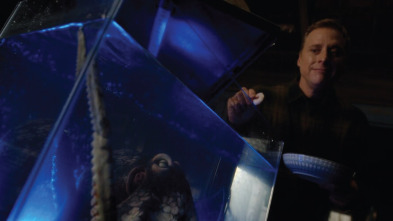 Imagen de Resident Alien (T2): Ep.5 Día en familia - 2