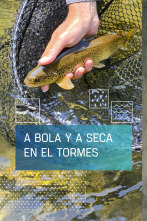 Imagen de A bola y a seca en el Tormes - 1