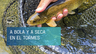 Imagen de A bola y a seca en el Tormes - 2
