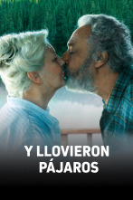 Imagen de Y llovieron pájaros - 1