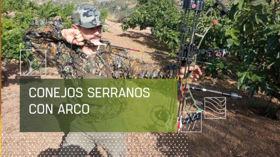 Imagen de Conejos serranos con arco - 2
