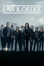 Imagen de Law & Order: Special Victims Unit (T25) - 1