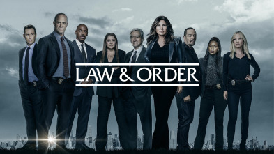 Imagen de Law & Order: Special Victims Unit (T25) - 2
