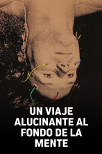 Imagen de Un viaje alucinante al fondo de la mente - 1