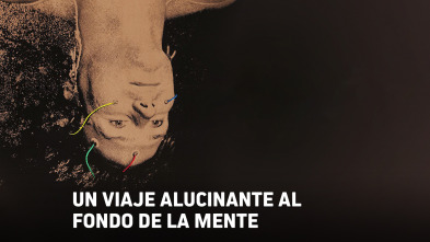 Imagen de Un viaje alucinante al fondo de la mente - 2